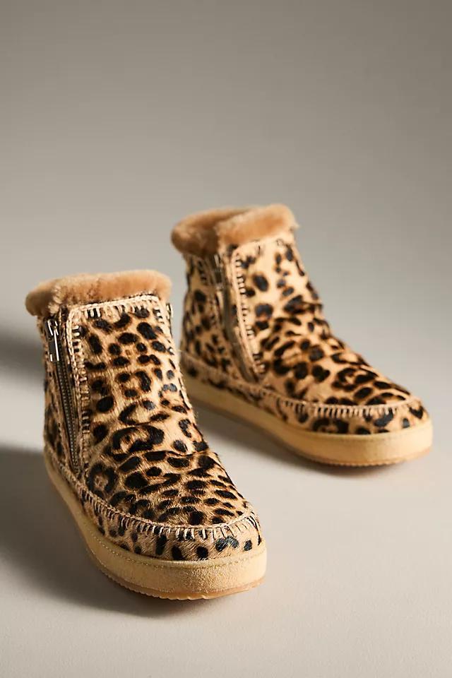 Laidback London Leopard Setsu Boots Product Image