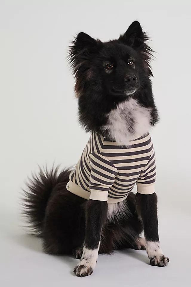 Camden Striped Dog Sweatshirt Product Image