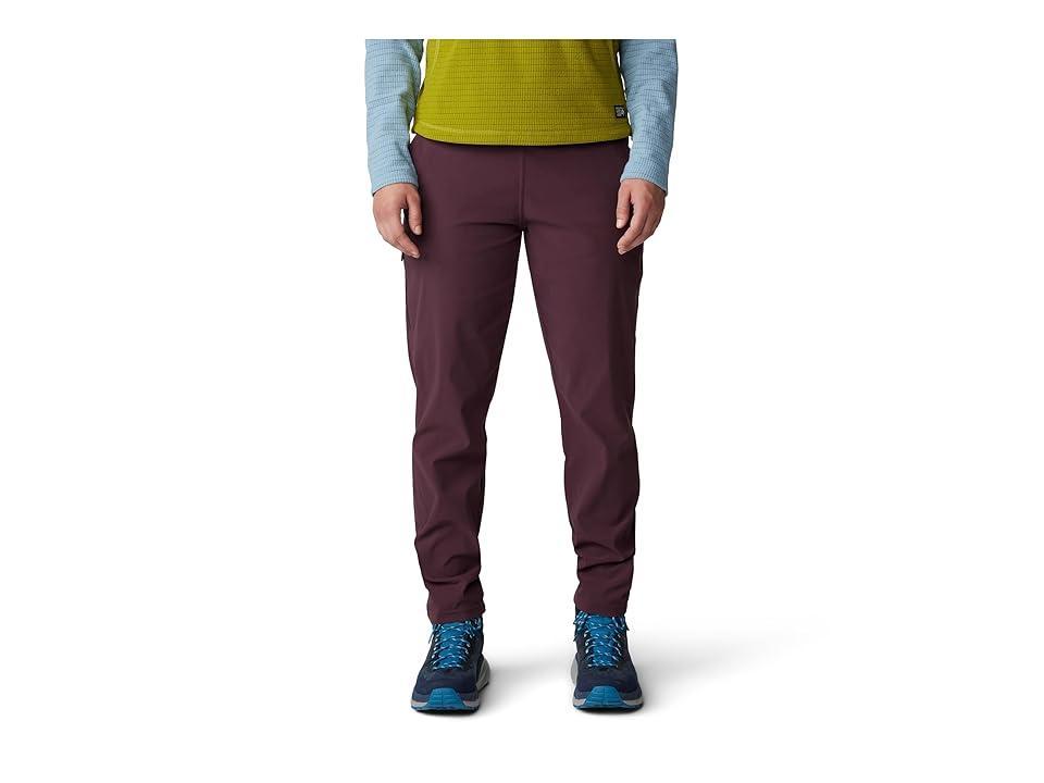 Mountain Hardwear Dynama Ankle Pants (Blackberry) Women's Casual Pants Product Image