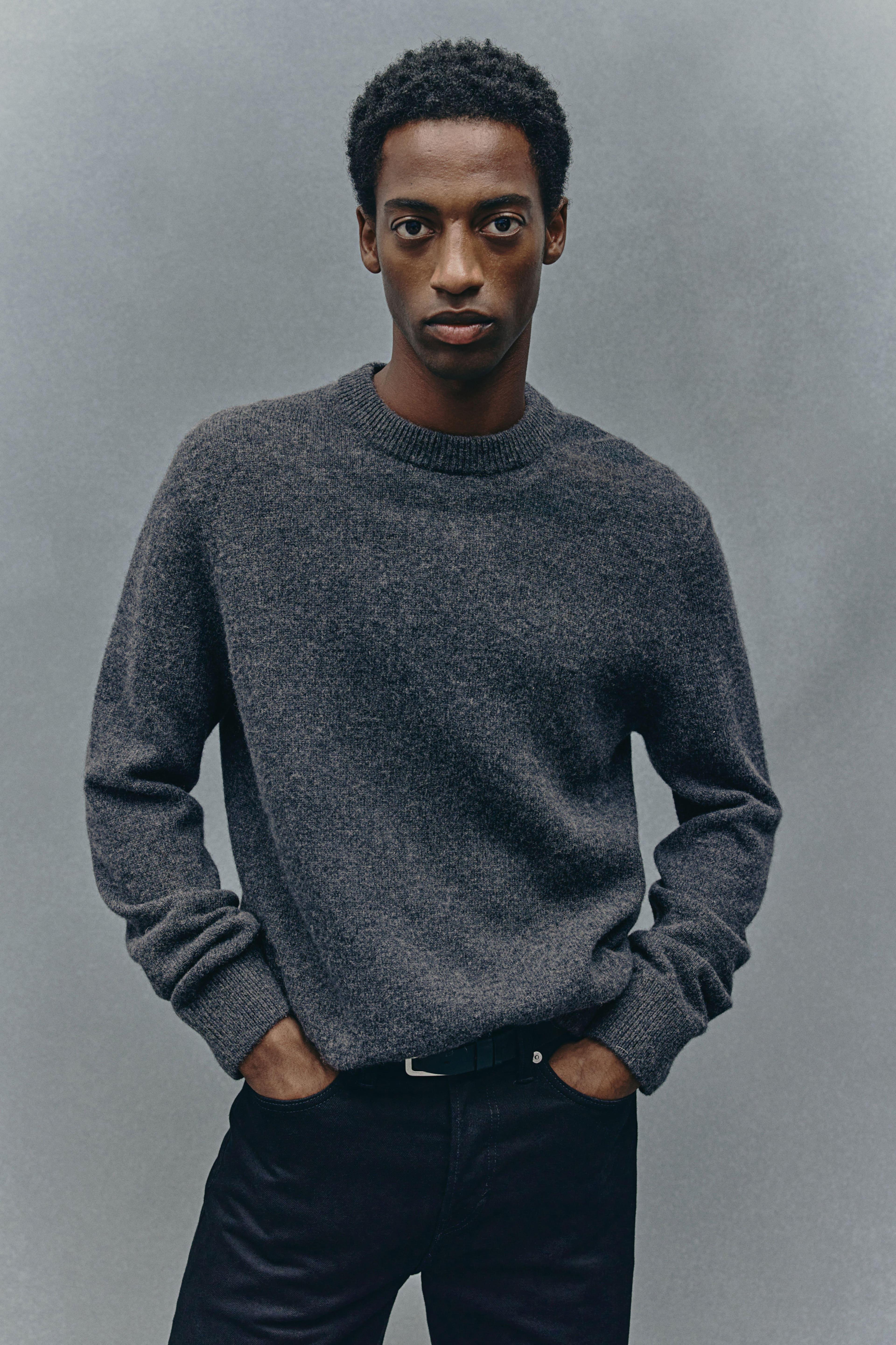 Regular Fit Wool Sweater Product Image