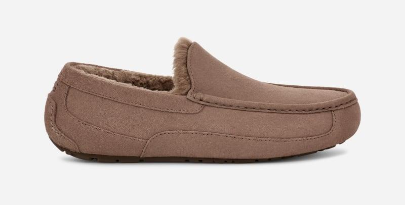 UGG Mens Ascot - Shoes Product Image