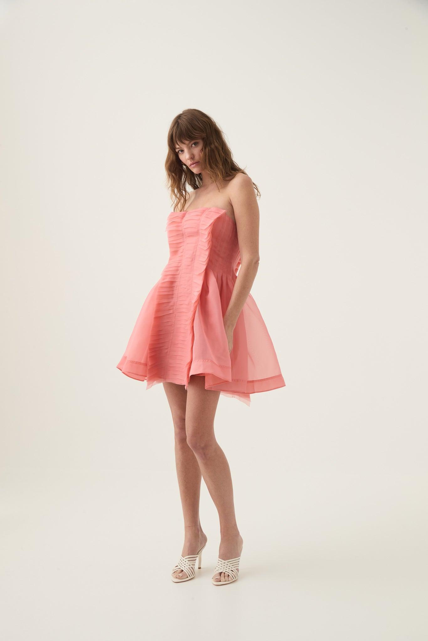 Astrid Strapless Mini Dress Product Image