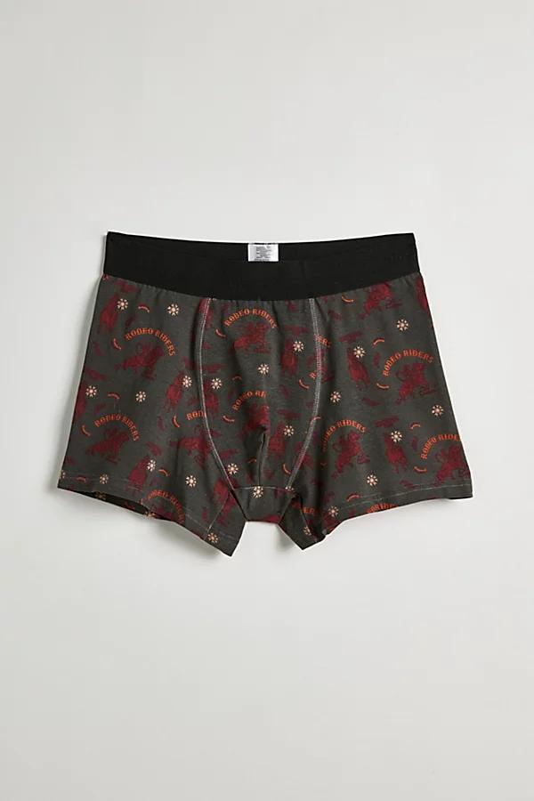 Arizona Rodeo Boxer Brief Mens at Urban Outfitters Product Image