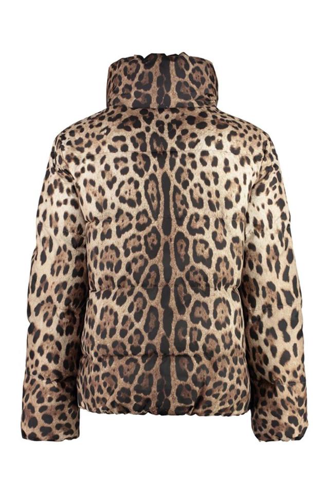 Leopard-print Padded Jacket In Multicolor Product Image