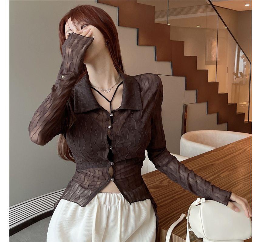 Long-Sleeve Sheer Knit Crop Top Product Image