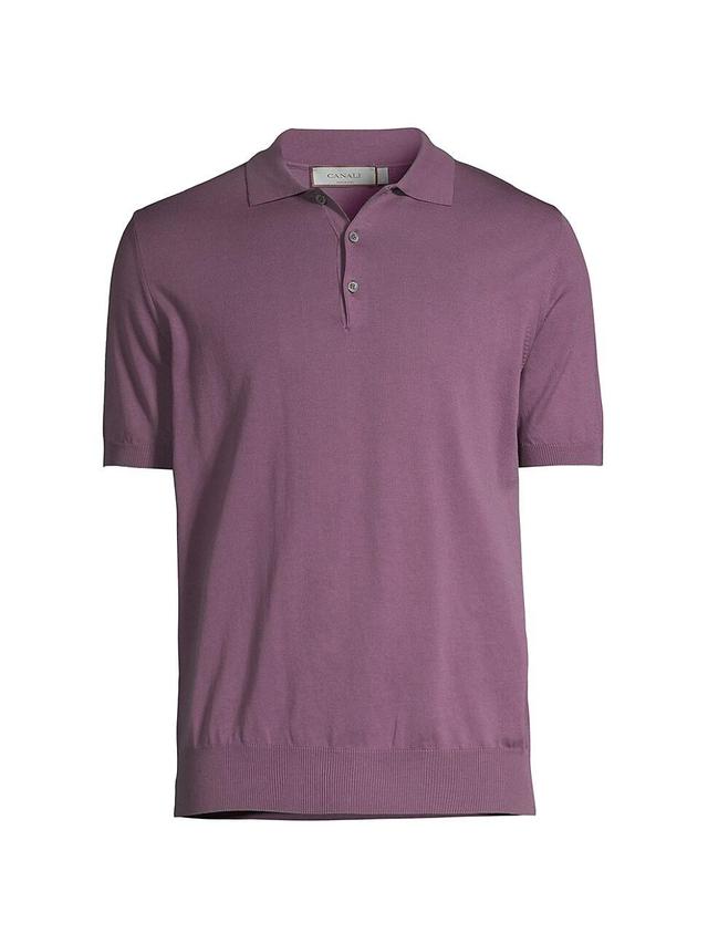 Mens Cotton Knit Polo Shirt Product Image