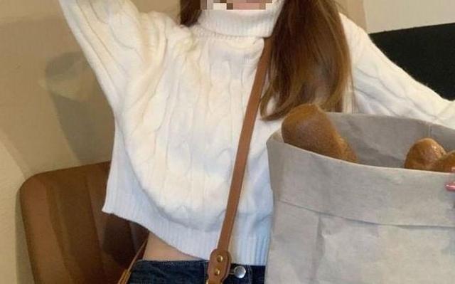 Turtleneck Plain Cable Knit Sweater Product Image