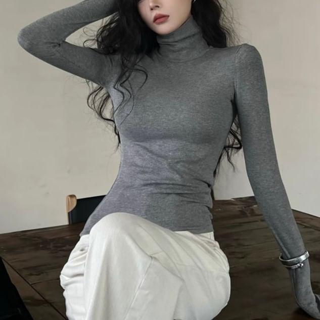 Long Sleeve Turtleneck Plain Top Product Image