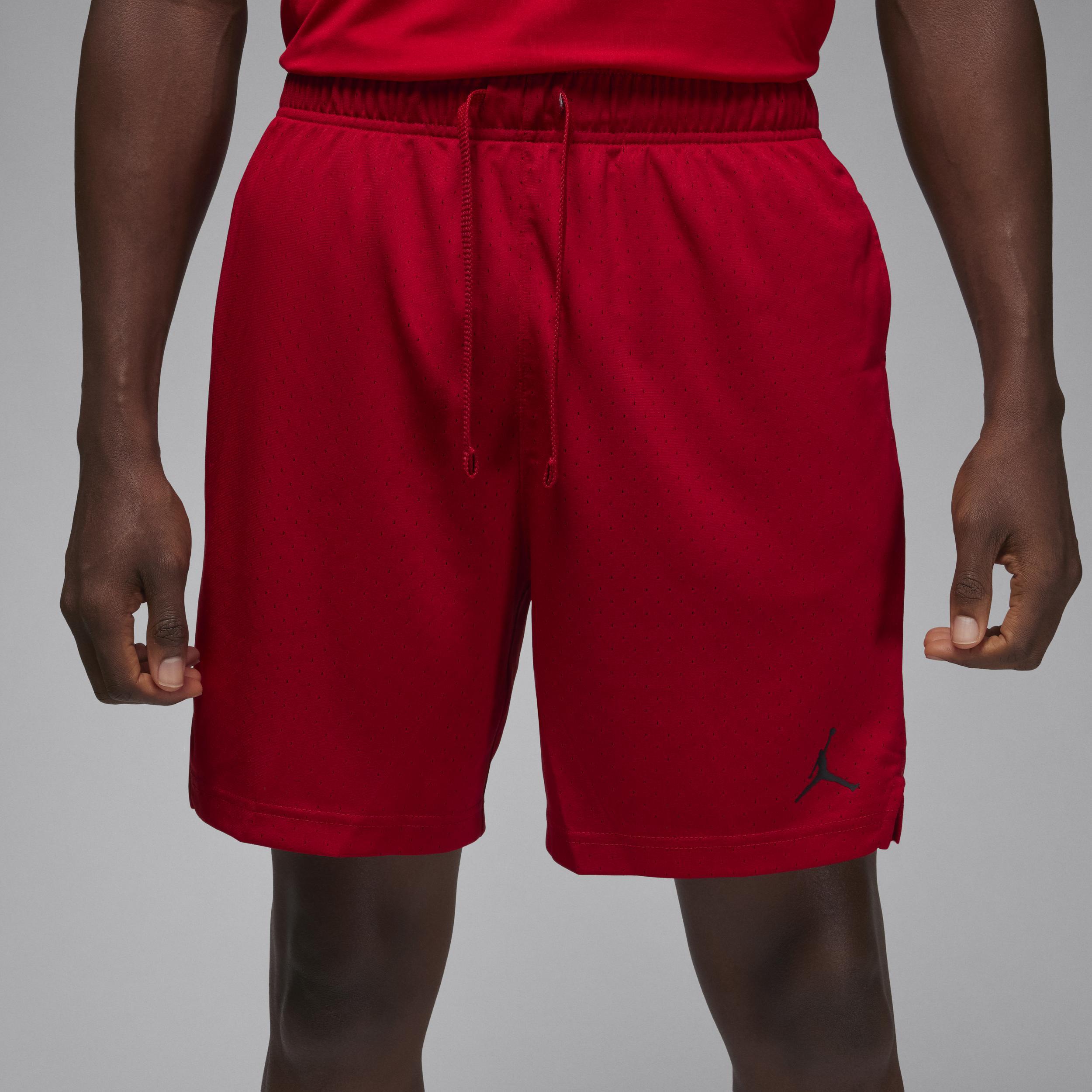 Men's Jordan Dri-FIT Sport Mesh Shorts Product Image