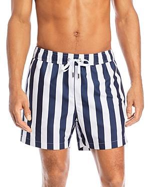 Mens Charles Stripes Swim Shorts Product Image