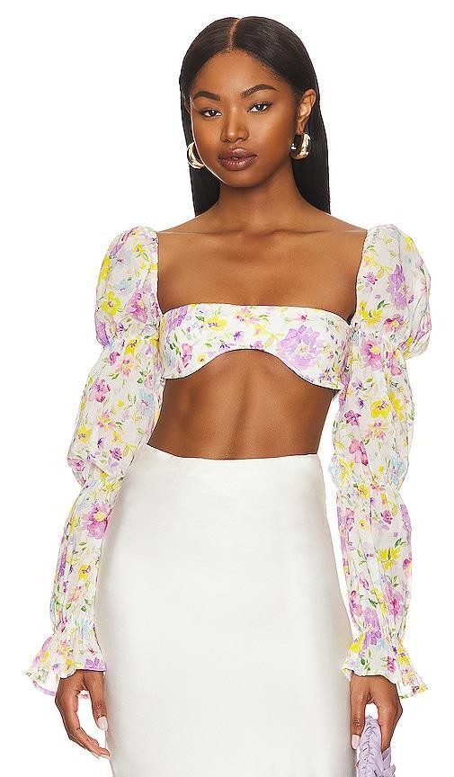 Marcelle Crop Top Product Image