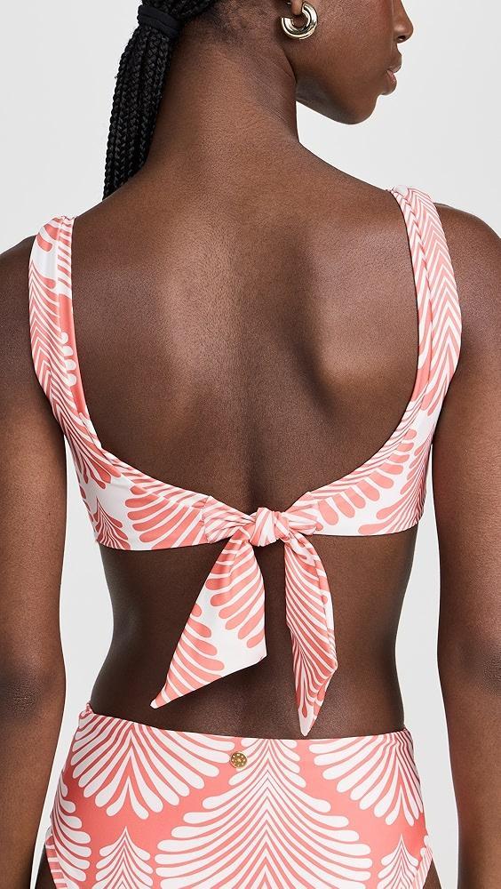 Palmacea Serena Bikini Top | Shopbop Product Image