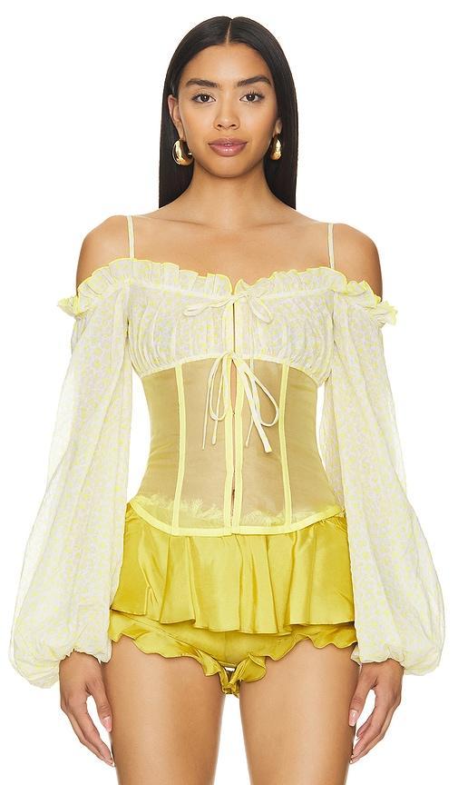 Bustier Top Product Image