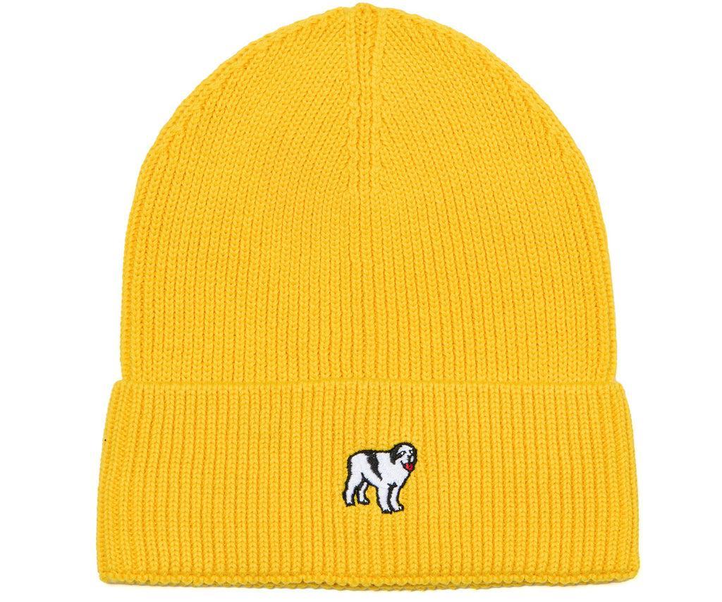 Icon Beanie Product Image