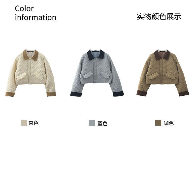 Quilted Plain Zip-Up Jacket Product Image