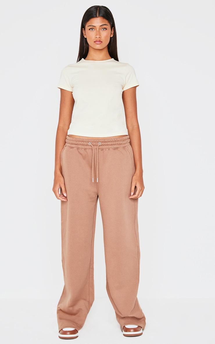 Taupe Drawcord Wide Leg Sweatpants Product Image