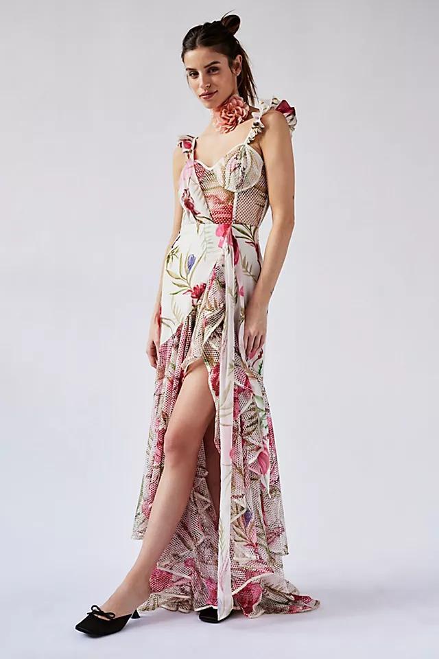 PatBO Viera Lace Bustier Maxi Dress Product Image