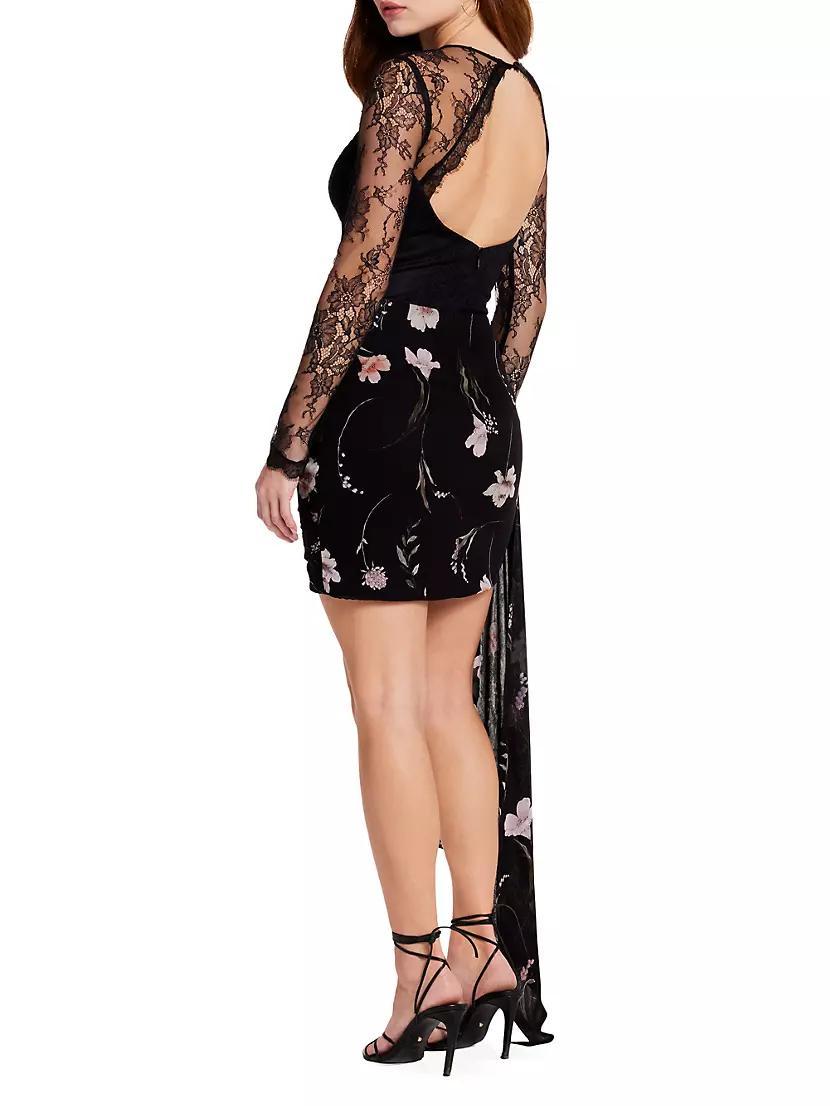 Wilde Lace & Floral Minidress Product Image