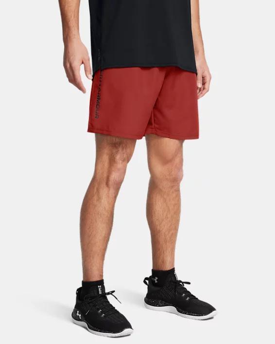 Mens UA Tech Woven Wordmark Shorts Product Image