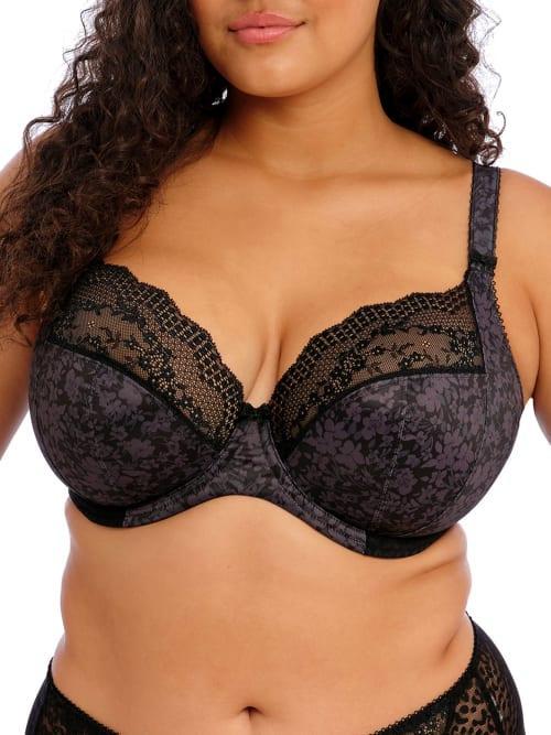 Elomi Lucie Full Figure Underwire Plunge Bra Product Image