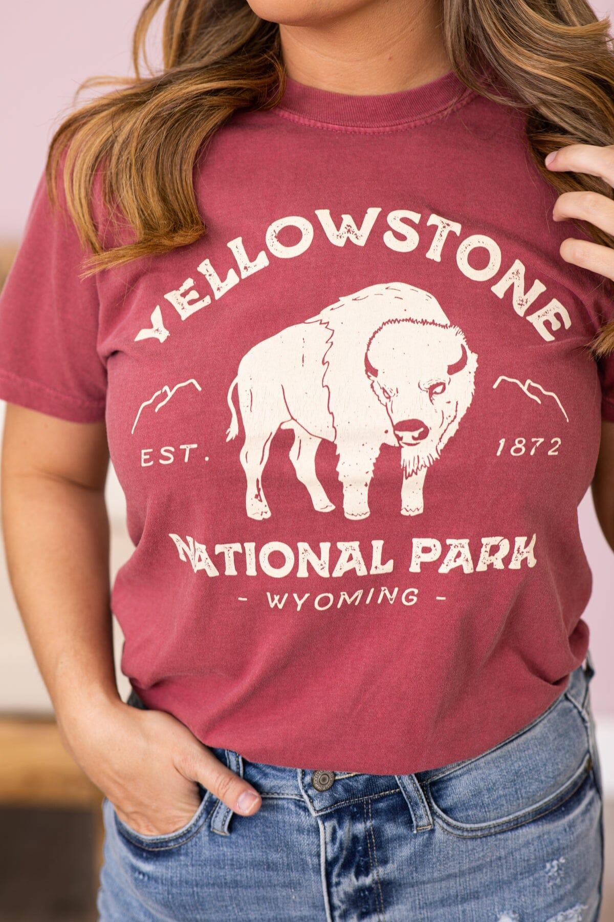 Wine Washed Yellowstone Park Graphic Tee Product Image