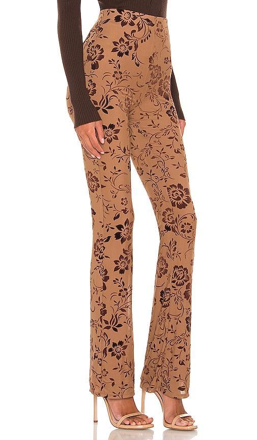 MAJORELLE Lars Pant Size M, XXS. Product Image