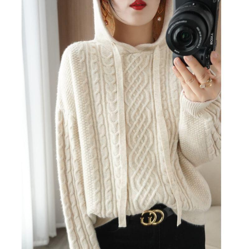 Plain Hood Cable Knit Sweater Product Image