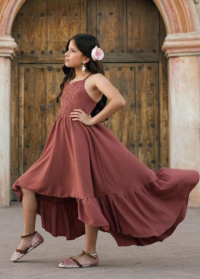 Amala Dress in Clay Product Image