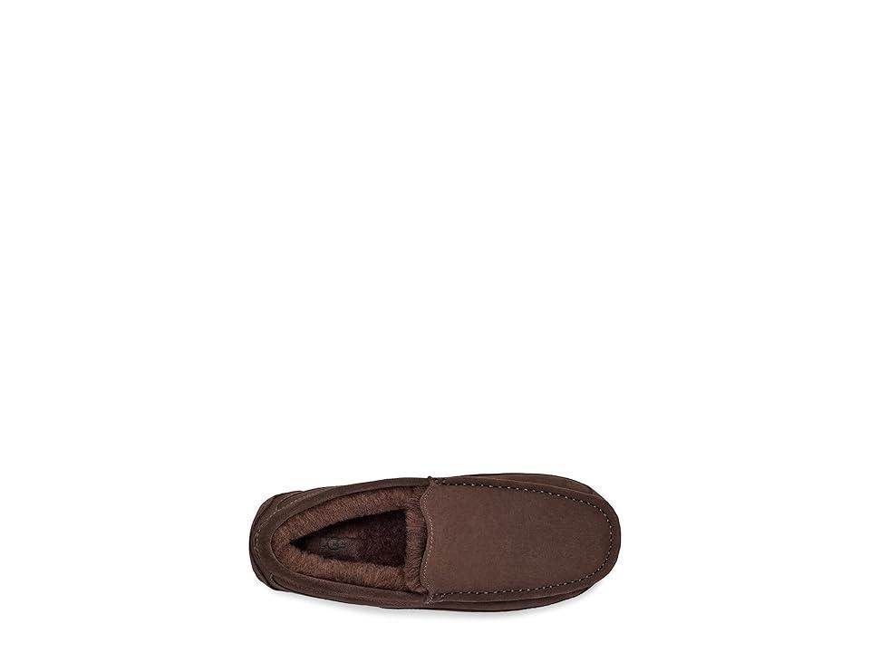 UGG(r) Ascot Slipper Product Image