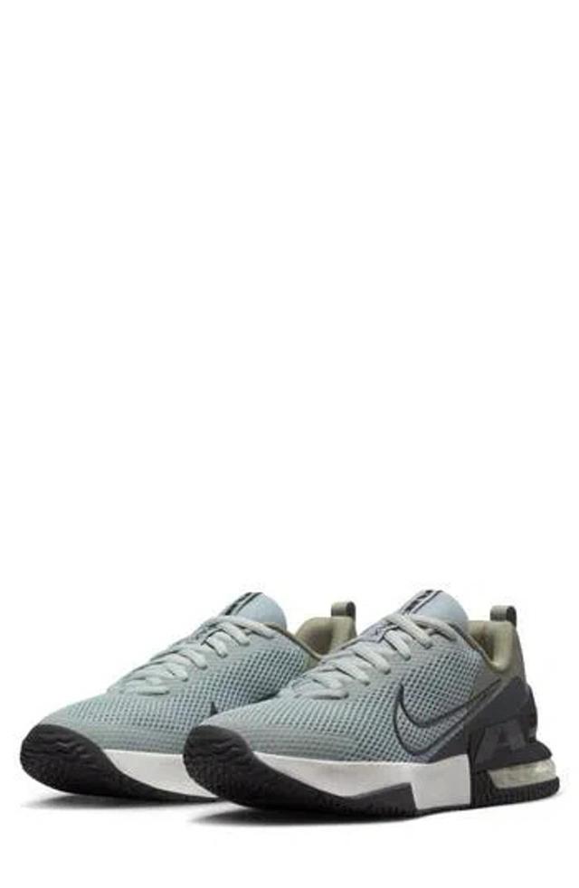 NIKE Air Max Alpha Trainer 6 Training Shoe In Light Silver/dark Stucco/pure Platinum/anthracite Product Image