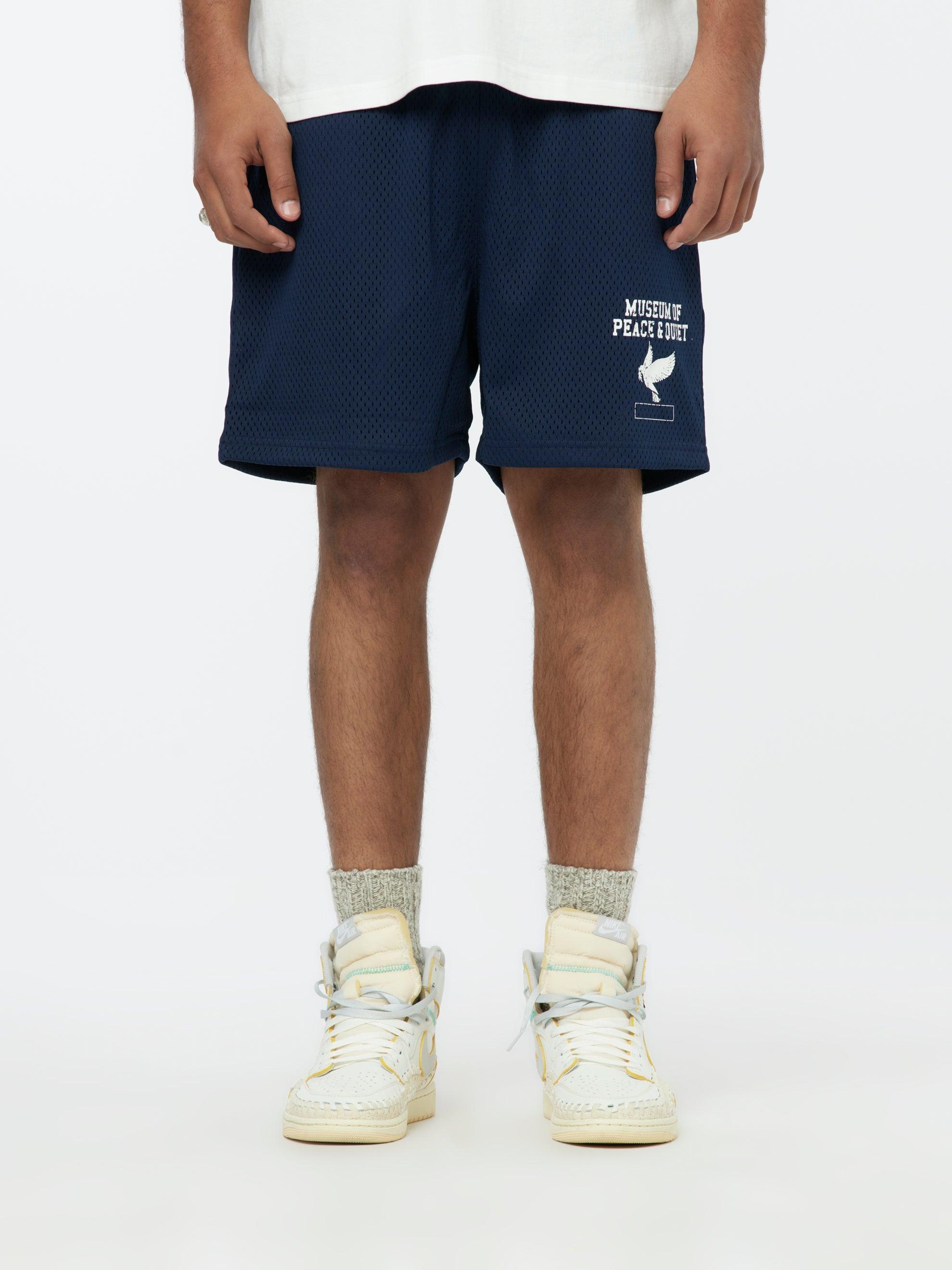 P.E. Mesh Shorts (Navy) Product Image