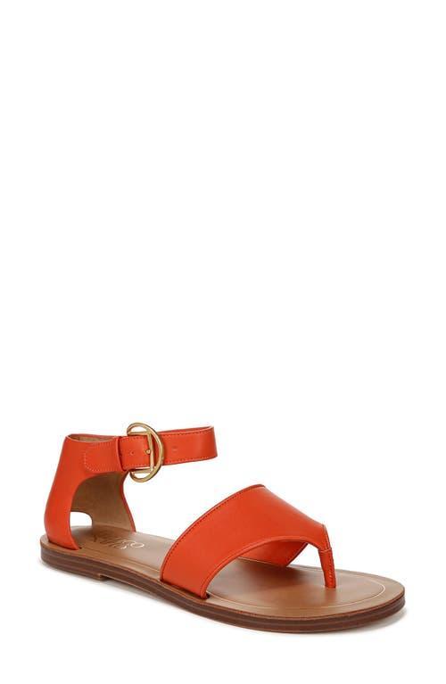 Franco Sarto Ruth Ankle Strap Sandal Product Image