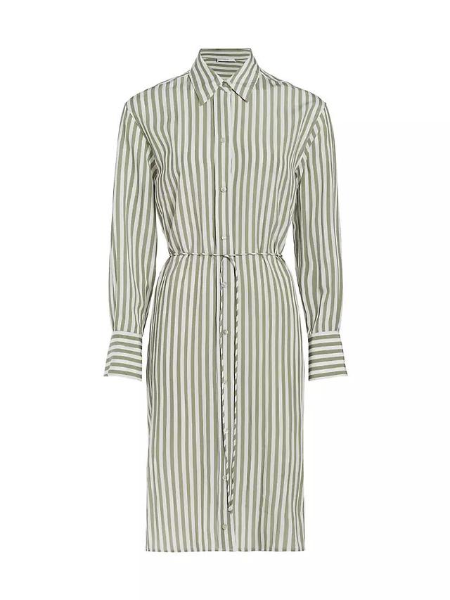 Coast Striped Shirtdress Product Image