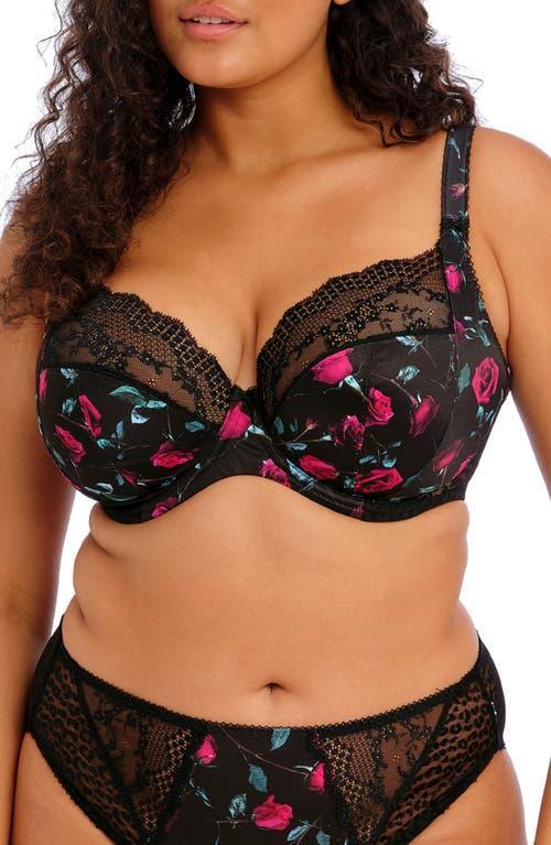 Elomi Lucie Full Figure Underwire Plunge Bra Product Image