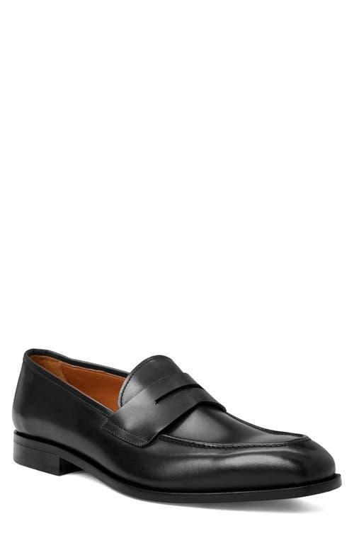 BRUNO MAGLI COLLEZIONE Vesini Penny Loafer Product Image