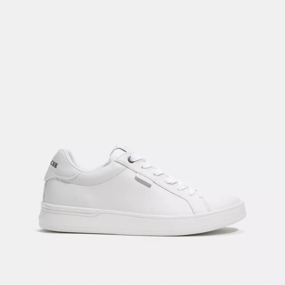 Lowline Low Top Sneaker Product Image