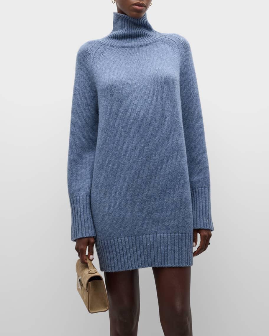 Doralisa Turtleneck Wool Mini Sweater Dress Product Image