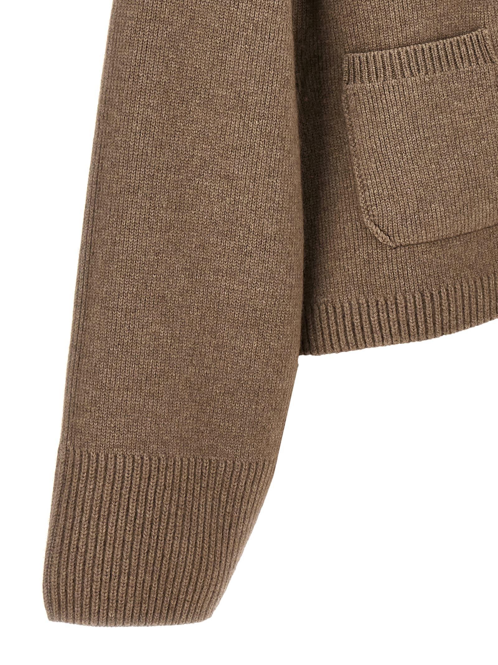 Scarlet Cardigan In Brown Product Image