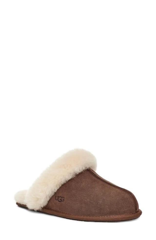 Scuffette Ii Dark Brown Suede Slippers Product Image