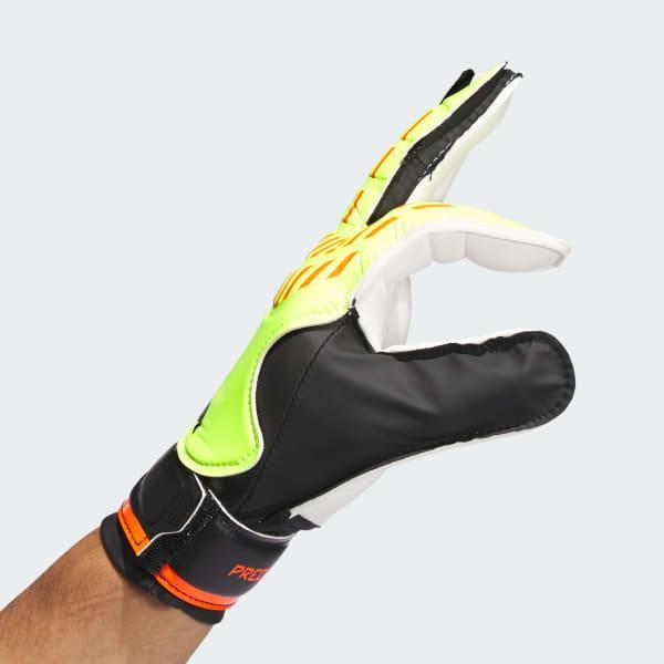 Predator Training Goalkeeper Gloves Product Image