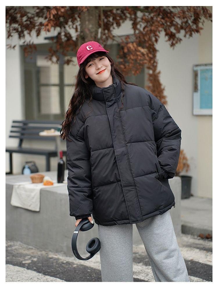 Stand Collar Plain Zip-Up Puffer Jacket Product Image