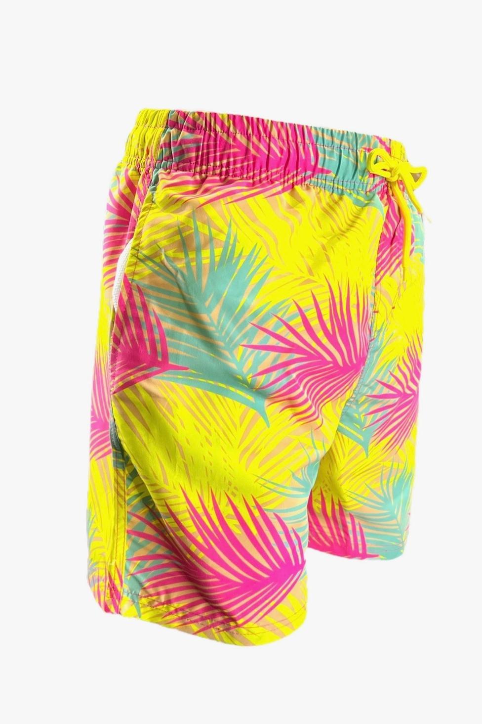 Men's Swim Shorts Product Image