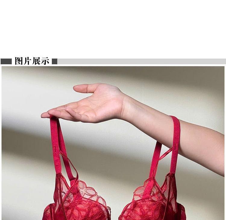 Lace Bra / Panty / Set Product Image