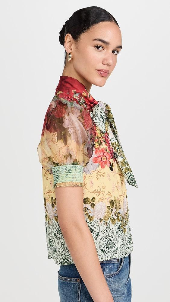 alice + olivia Brentley Blouse | Shopbop Product Image