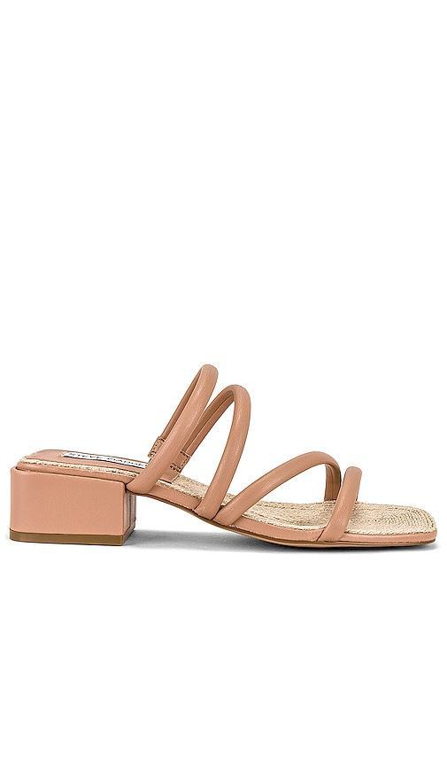 Steve Madden Citizen Sandal in Tan. Size 7.5. Product Image