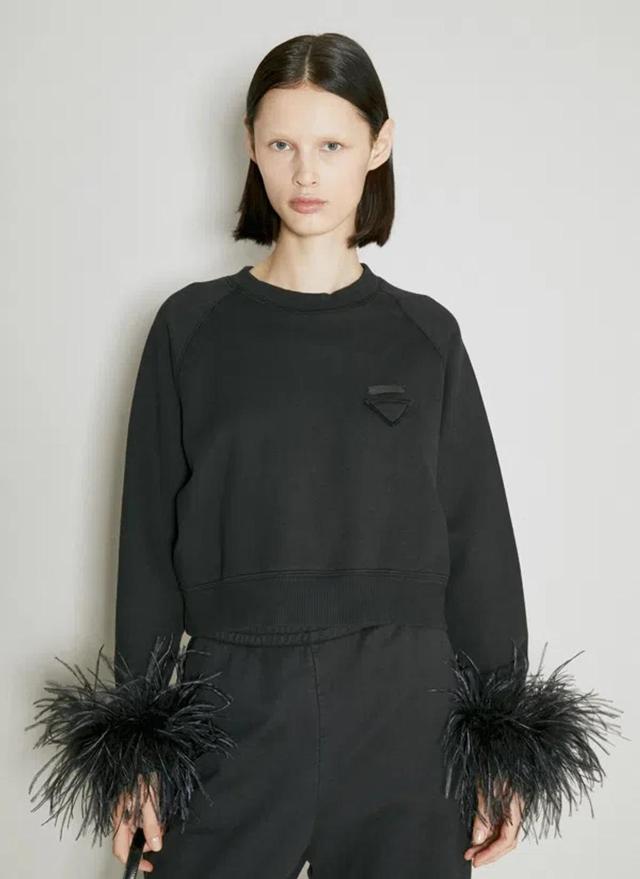 Crew-neck Sweatshirt With Feather Trim In Black Product Image