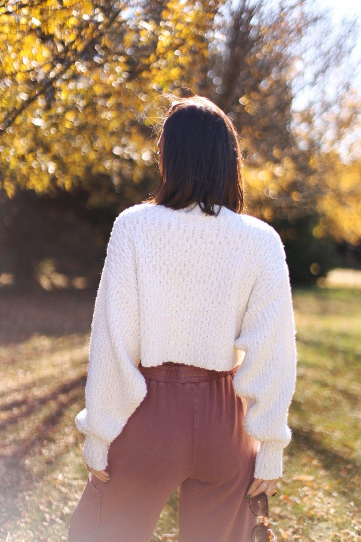 Ivory Popcorn Knit Cropped Sweater - FINAL SALE Product Image