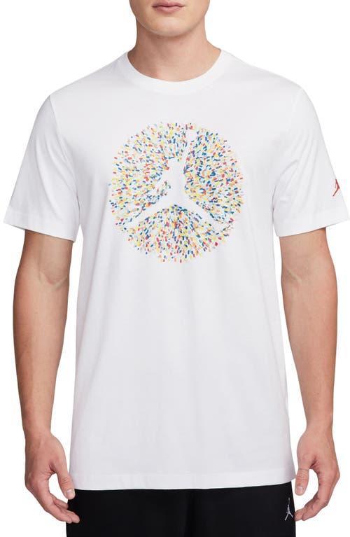 Jordan Pointillism Jumpman Graphic T-Shirt Product Image