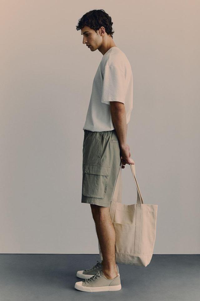 Regular Fit Cargo Shorts Product Image