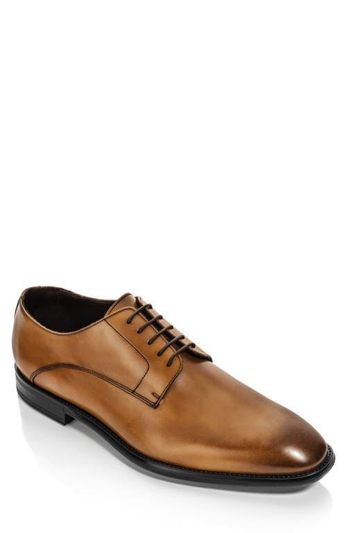To Boot New York Amedeo Derby Product Image